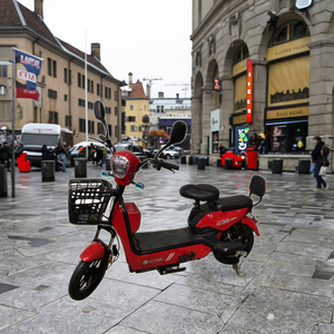 Venta Directa de Fábrica, Bicicleta Eléctrica Económica de 350W 48V con Motor Trasero Digital de Plomo-Ácido, Bicicleta Urbana de Dos Ruedas en Oferta - Product Image 2