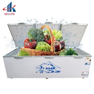 Congélateur commercial automatique vertical en promotion / Réfrigérateur et congélateurs / Congélateur vertical - Product Image 1