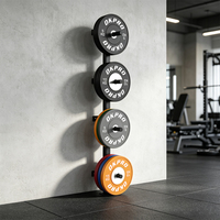 Fabricant d'équipements de gym commerciaux OKPRO, support mural pour rangement de plaques de poids