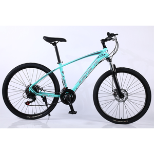 エアロイック29プロ大型カップル向け、ピンクのファットバイクリム（グリーン）を購入したい、自転車部品リム、大人用フィッシュボーンブレーキファットバイク - Product Image 6