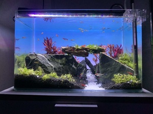 Kunden spezifische Größe Border less <span class=keywords><strong>Aquarium</strong></span> ändern LED <span class=keywords><strong>Aquarium</strong></span> Hintergrund beleuchtung <span class=keywords><strong>Aquarium</strong></span> Hintergrund licht - Product Image 5