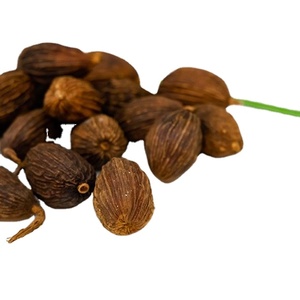 Fourniture d'usine d'épices de cardamome noires séchées Tsaoko pour l'exportation - Product Image 1