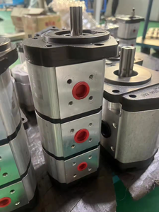 Moteur hydraulique OEM ODM DESIGN SNM2NN/011BN06GA M6WE5E5NNNN/NNNNN SNM SNM2 SNM2NN - Product Image 2