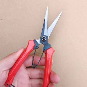 Tijeras de Podar Rectas Jianyu de Acero Inoxidable Rojas de 10-20 mm, Herramienta Floral - Product Image 1