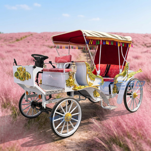 Fournisseur d'usine - Chariot de tourisme électrique de luxe de type Citrouille de Cendrillon, style royal européen, 6 places, en acier Q235B - Product Image 1