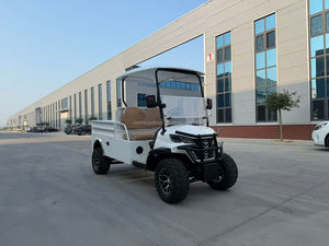 Neueste Golfcarts mit Benzinantrieb, Vierrad-Elektromotorräder, Golf-Scooter mit Metallzeitsteuerung - Product Image 6