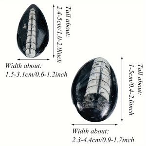 Fósiles de Trilobites al por Mayor, Piedra Sinijiao de Impacto Directo, Especímenes Arqueológicos, Fósiles Naturales del Fondo Marino, Piedras en Bruto para Decoración - Product Image 3