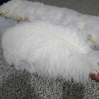 Natürlichen Handwerk Feder Großen Weißen Straußen Feder Für Hochzeit Und Party Dekoration 60cm-65cm