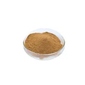 Eucommia ulmoides extract 99% Chlorogenic acid powder CAS 327-97-9