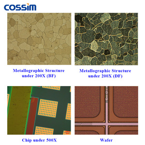 <span class=keywords><strong>Microscope</strong></span> métallographique numérique USB semi-apo <span class=keywords><strong>à</strong></span> objectif infini de 12 pouces pour pièces de travail super grandes, idéal pour l'inspection de semi-conducteurs et de FPD - Product Image 6