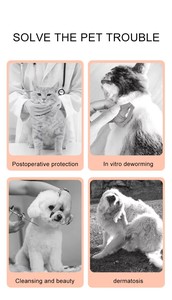 Collar Isabelino Ajustable de Plástico PU Personalizado para Perros y Gatos, Nuevo Collar Protector Suave para Recuperación - Product Image 5