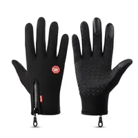 Waterproof Touch Gloves for Men, Thermal, Biker, Riding