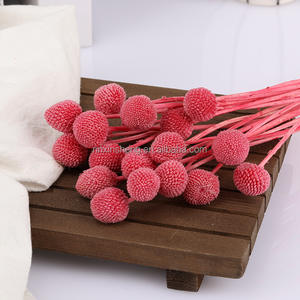 Bouquet de décoration de mariage de vraies fleurs fraîches Pycnosorus Bouquet de boules de Billy naturel préservé Boutons de Billy pour la Saint-Valentin - Product Image 4