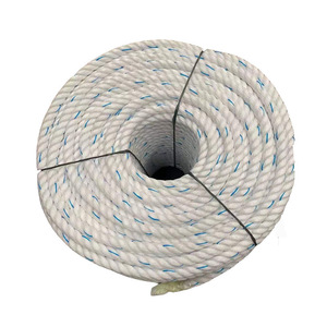 2Mm-24Mm Vòng Polypropylene <span class=keywords><strong>Pe</strong></span> Bện Dây Gói Dây Khởi Động Dây - Product Image 1