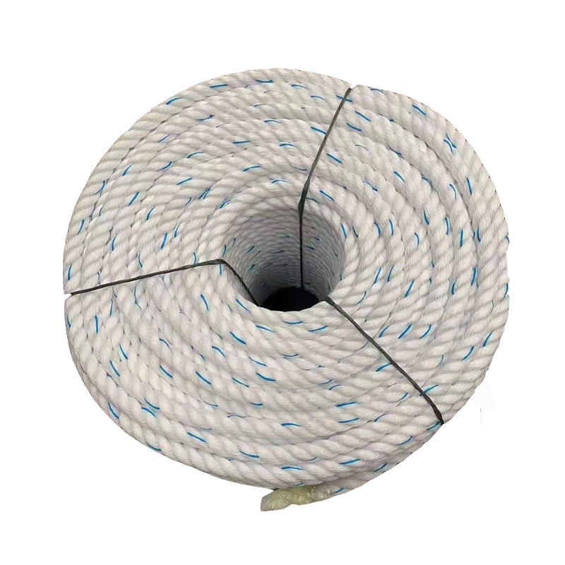 2mm - 24mm Round Polypropylene PP Danline Twisted Rope for Package ...