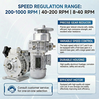 UD(L) série 1.5 variateur de vitesse en continu de moteur à vis sans fin de réduction électrique à haut régime avec Transmission de disque conique planétaire