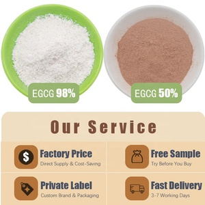Estratto di Tè Verde Biologico in Polvere, Grado Alimentare, Polifenoli del Tè 98%, <span class=keywords><strong>EGCG</strong></span> 50%, Catechine 80% - Product Image 2