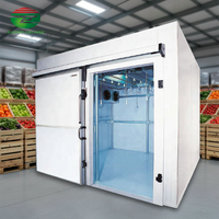 Cámara Frigorífica Personalizada en China con Compresor de Marca Copeland para Frutas y Verduras Frescas