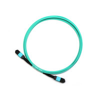 Kabel Patch Multimode OM3 OM4 MPO MTP 12 Core Berkualitas Tinggi dengan Konektor Betina LSZH 3.0mm Warna Dapat Disesuaikan Kompatibel 5G