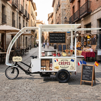 Scooter électrique 850W 100W, tricycle électrique à trois roues, vélo cargo électrique à 3 roues avec batterie 48V40AH