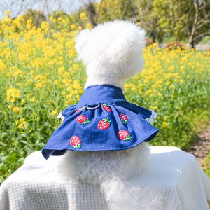 PETCIRCLE pet clothing for dogs and cats, <b>cute</b> strawberry denim skirt for teddy <b>bears</b> and Bichons - Product Image 2