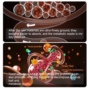 Fábrica YEE, venta al por mayor, cápsula de alta proteína, alimento <span class=keywords><strong>para</strong></span> peces, alimento <span class=keywords><strong>para</strong></span> peces adhesivo <span class=keywords><strong>para</strong></span> alimentación de peces tropicales y dorados - Product Image 2