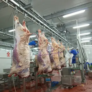 完整的牛肉屠宰场设备水牛屠宰生产线牛屠宰场设备尸体劈裂机