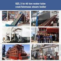 Usine 1 à 40 tonnes de granulés de bois copeaux sciure de bois huile de palme charbon solide biomasse tube d'eau industrielle chaudière à vapeur prix