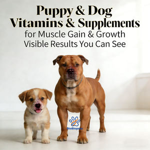 11'i 1 Arada Kas Geliştirici Çiğneme Tabletleri, Yüksek Protein ve Amino Asit İçeren Köpekler İçin Kilo Aldırıcı Takviye, Evcil Hayvanlar İçin Premium Kas Geliştirici Yumuşak Çiğneme Tabletleri - Product Image 3