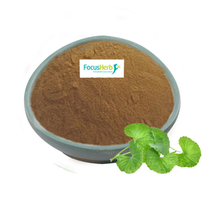 USA sherb abd depo stok toptan yüksek kalite Centella Warehouse ca özü 10:1 Gotu Kola ekstresi - Product Image 1