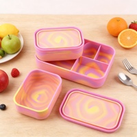 Boîte à lunch en silicone de qualité alimentaire multicolores, compatible micro-ondes, boîte de conservation des aliments, boîte à lunch résistante au micro-ondes