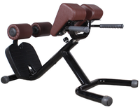Banc d'extension dorsale pour l'hyperextension du dos, équipement d'exercice commercial, capacité de machine d'extension dorsale