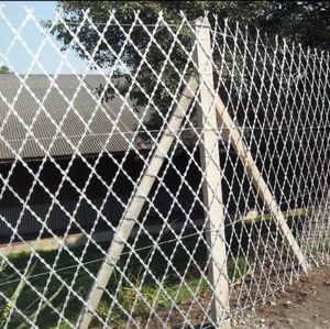 Cerca de Alambre Galvanizado Soldado para Seguridad en Prisiones y Cárceles Europeas - Product Image 5