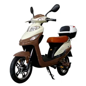 Sepeda listrik CE 48V/ebike kota hijau wanita murah/EN15194 sepeda listrik merah muda