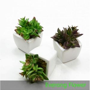 Everong mini cactus artificiel plante succulente en <span class=keywords><strong>pot</strong></span> pour la décoration de la maison hôtel - Product Image 5