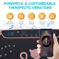 Plate-forme de fitness verticale ultra-mince pour le corps compacteur vibrant plaque de vibration machine d'exercice