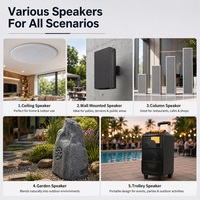 Altavoz PA de Pared FT-206 con Sonido Nítido y Duradero, Sistema de Audio para Instalación en Aulas, Salas de Conferencias y Escuelas