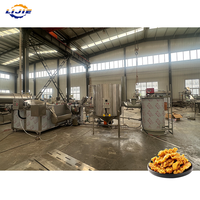Machine à frire au gaz à chauffage externe robuste pour la production de snacks frits à grande échelle et les usines industrielles de noix