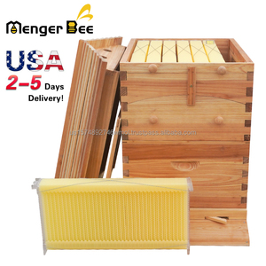 Nouvelle Grande Ruche à Abeilles à Flux Facile, Kit Complet 7 Cadres en Bois de Sapin Épais de 18 mm Revêtus de Cire, Joint en Queue d'Aronde, Garantie de 2 Ans - Product Image 1
