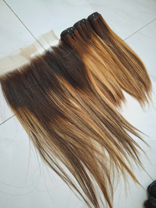 100% ผมตรงสีออมเบรแบบสองชั้นสำหรับต่อผม4/27ผมแท้เวียดนาม - Product Image 2