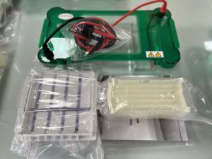 नैदानिक विश्लेषणात्मक क्षैतिज डीएनए वैद्युतकणसंचलन केशिका वैद्युतकणसंचलन - Product Image 5