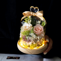 Cubierta de Cristal con Flor Eterna Hecha a Mano, Regalo para el Día de San Valentín y Cumpleaños