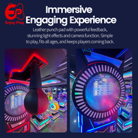 Enjoyplay 2026 Promotion Machine de boxe d'arcade professionnelle à monnayeur avec structure en acier pour centres de jeux