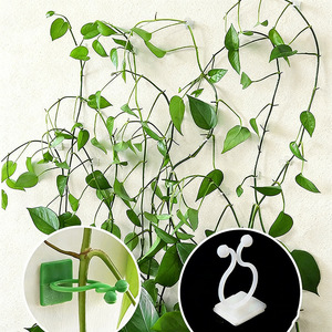 Dispositivo de Fijación para Pothos, Enredaderas, Plantas Verdes, Dispositivo para Trepar a la Pared, Ganchos, Hebillas de Fijación de Alambre, Clips de Fijación para Enredaderas - Product Image 1