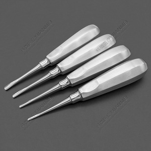 Elevador de extracción dental mínimamente invasivo de acero inoxidable, elevador recto/curvo/triangular, destornillador dental, instrumental dental - Product Image 2