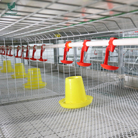 Système de cages à poulets automatiques à 3 étages et 4 niveaux de type H pour l'élevage de poulets de chair