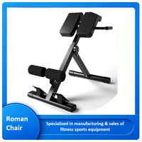 Chaise romaine multifonction réglable, banc d'hyperextension, équipement de gym à domicile pour l'entraînement des muscles du dos, de l'abdomen et du tronc