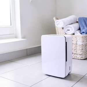 Déshumidificateur DDC 4L avec filtre HEPA pour bureau, certifié ISO 9001, haute performance, anti-odeurs, garantie 1 an - Product Image 1