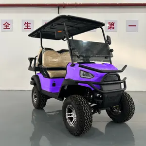 WINTAO 2024 Newest Design 4x4 Wheel Drive Lifted Electric Golf Kart For Resort Hotel Park Golf Course Electric Golf Cart