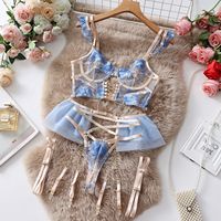 Nouveaux sous-vêtements brodés Sexy pour femmes haut de gamme maille broderie Perspective sous-vêtements Slim Fit rassemblement amusant soutien-gorge ensemble
